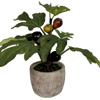 Artificial Interior Potted Fig Plant : Evergreendirect.co.uk