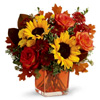 Autumn Flower : Fromyouflowers