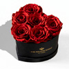 Baby Heart Black Box : The Million Roses
