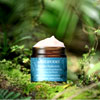Baptise Hyaluronic : AntipodesNature