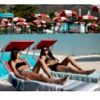 Beach Umbrella | LeCaravelle