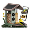 Bird Feeder 2 With Solar Panel , Kiwibit