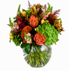 Blushing Sunset : Moysesflowers