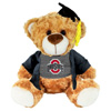 Brown Bear | Gobuckeyes.com