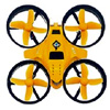 Bumble Bee Whoop Pro | rcvisions.com