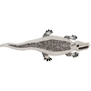 Caiman Rug | BackDropHome