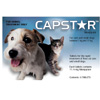 Capstar Flea Control Tablets : VetSupply