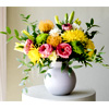 Caribbean Seasonal Flowers : Colvinco