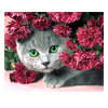 Cat & Safflower Diamond Painting | Caydo