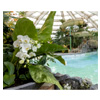 Center Parcs De Huttenheugte | Expedia