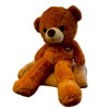 Childrens Blanket 150x120 | Ananasko