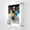 Clear Frame Acrylic Wall Art : Canvaschamp.com
