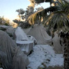 Large Surface Climate Blanket : Jardintropic.com