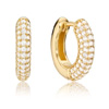 Cluster Hoop Earrings - Lilyandroo
