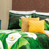 Fiori Supreme Coverlet Coordinator : Intima USA