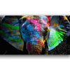 Color Elephant - Nextlevel-canvas.de