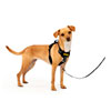 Comfort Dog Harness : PetSafe