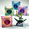 Cosmic Seed Kits : Modern Sprout