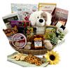 Cozy Care Package | Designityourselfgiftbaskets.com