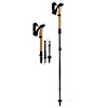 Cressida Fx Carbon | Leki USA
