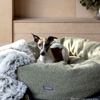 Cuddler Dog Bed - Snooza