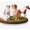 Custom Pet Figurine | Bondwithpet.com