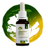 Dandelion Root Extract Drops | Kraftgras
