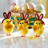 Decorative Chick : Vitrine Magique