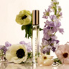 Delphine Travel Spray : DefineMe Fragrance