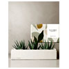 Deluxe Zebra Garden | Lulasgarden.com