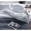 Designers Guild Tribeca Flat Sheets : Richardhaworth.co.uk