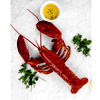 Deuce Lobsters : Lobster Boys