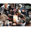 Divine Channeled Reading | SacredVeilHaven