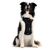 Drive Dog Car Harness : EzyDog