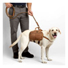 Dog Saddle Bags - DuluthTrading