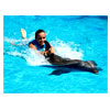 Dolphin Ride | Interactiveaquariumcancun.com