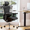 Doro C300 Ergonomic Office Chair : Sihoo 