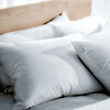 Down Pillow : Avocadogreenmattress.com