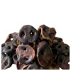 Dried Pig Snouts - Breer Tierbedarf 