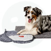 Drying Bundle : Snooza