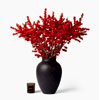 Elf Red Ilex : Flowerbx.com
