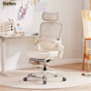 Ergonomic Office Chair : Musso