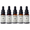 Five Elements Essential Oil Collection - Homework Store