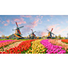 European Union eSIM 1GB : Jetpac eSIM