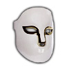 Professional LED Phototherapy Face Mask : EvenSkyn