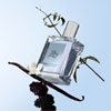 Falling In Love Eau De Toilette : Philosophy.com