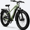 Fat Tire Electric Bike : Veefa Bike