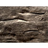Aged Timber Faux Wood Sample - Barron Designs