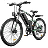 Finbike M50 Electric Bike -  Finbike.com