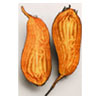 Flame Beet Seeds | Row7Seeds